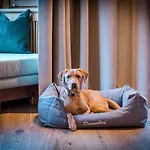 Hotel Almmonte Sensum - Funky Living