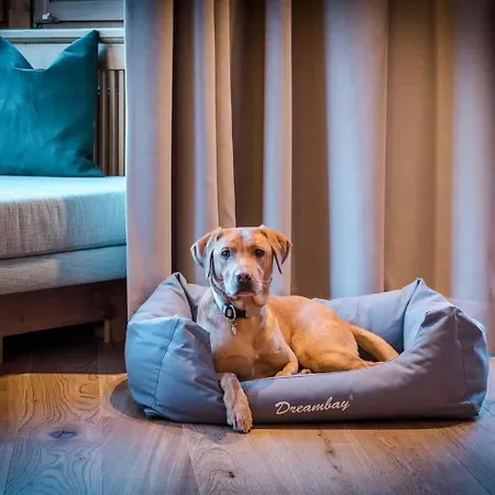 Отель Almmonte Sensum - Funky Living